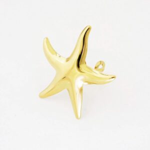 ANILLO CARIBE