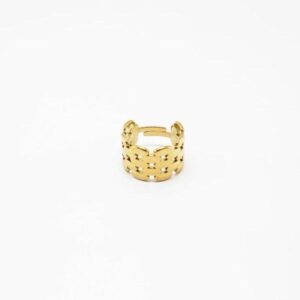 ANILLO ESLABÓN